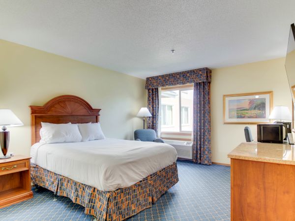 A hotel room with a double bed, nightstand, lamps, a TV, desk, microwave, mini-fridge, armchair, and window.