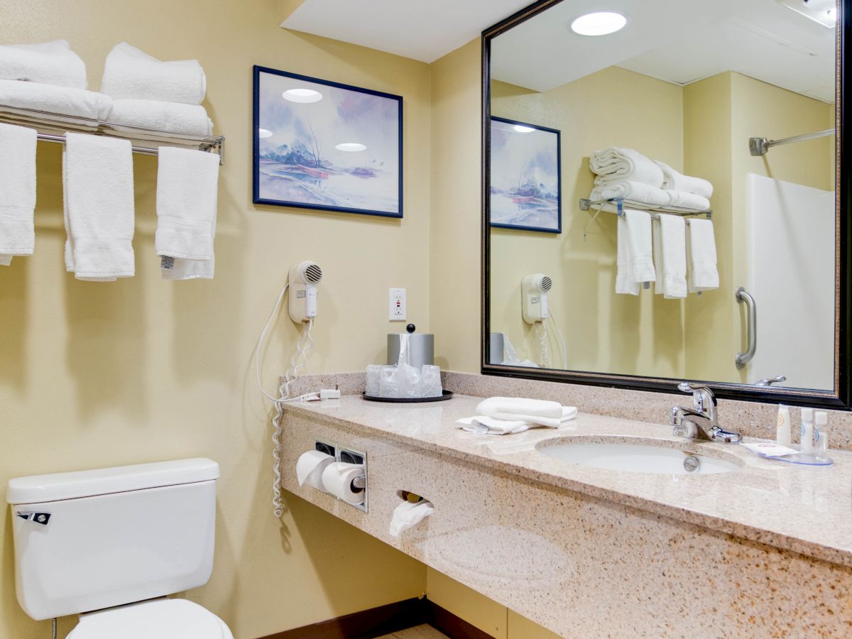 This image shows a bathroom with a toilet, counter sink, large mirror, wall-mounted hairdryer, towels on a rack, and framed pictures on the wall.