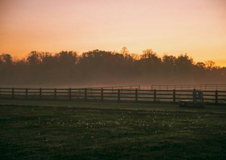 The image shows a serene sunset over a misty field with a wooden fence and distant trees silhouetted against an orange-pink sky.