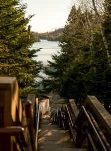 A wooden staircase descends through a forest towards a serene lake, surrounded by lush green trees and a hint of distant hills.